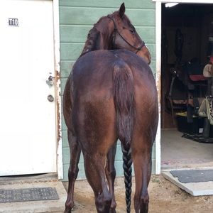 Meet your Posher, Kaley